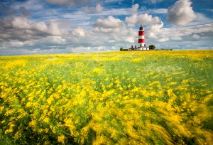 Norfolk Broads & Coast Photography Workshop