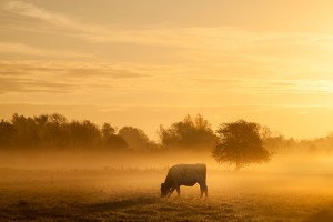 Essex Photography Workshop