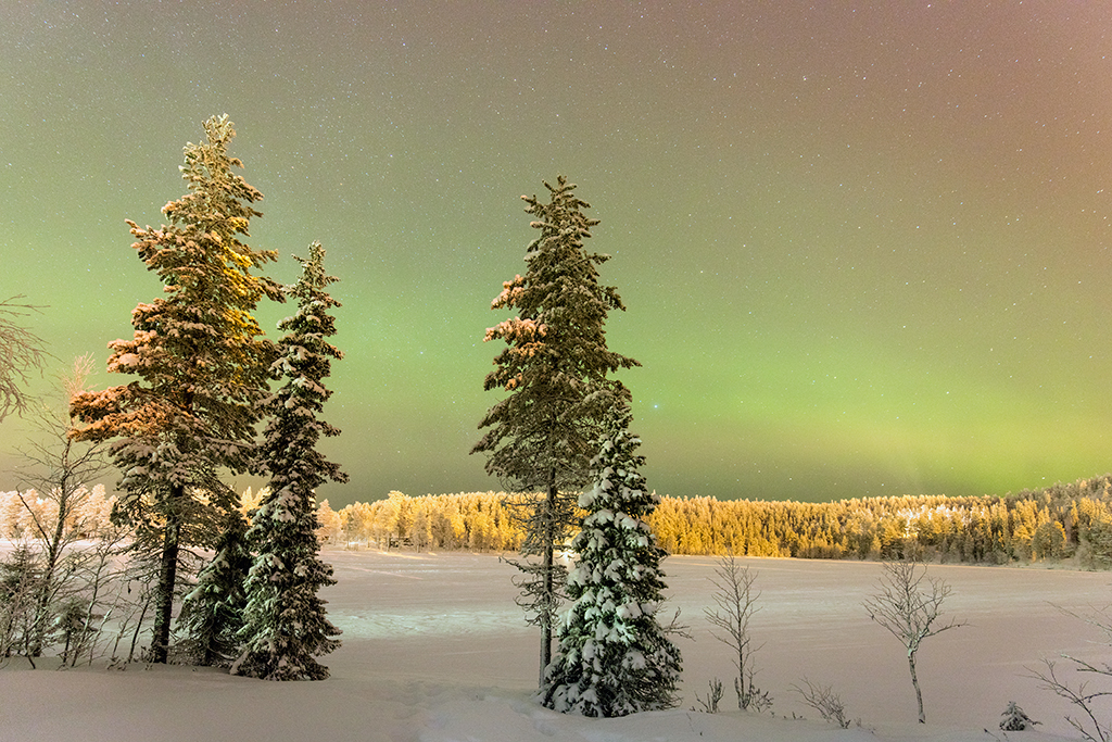 Northern Lights at Ruka in Finland 