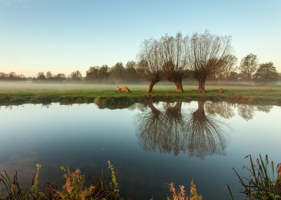 Essex Landscape Photography