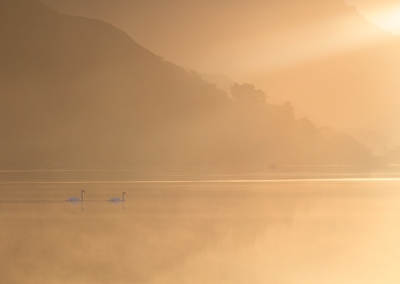 4 Llyn Padarn at first light in North Wales