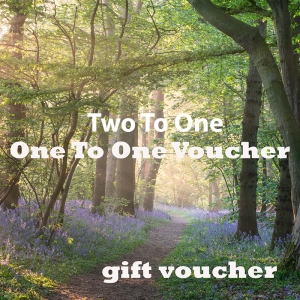 Two to one workshop gift voucher