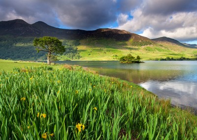 Crummock Water photographed on a summer's day