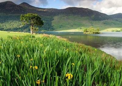 Crummock Water photographed on a summer's day