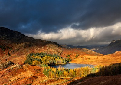 Morning light from Lingmoor Fell