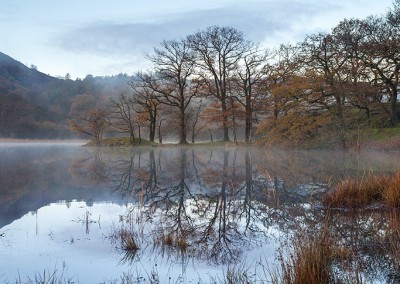 Dawn on a misty morning at Rydal Water
