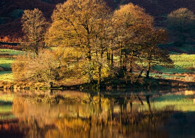 Tress reflecting in Rydal Water