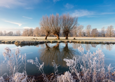 The River Stour on a frosty morning