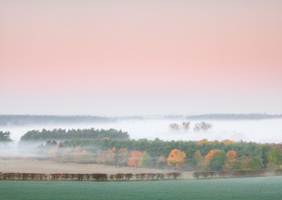 Thetford Forest on a misty Autumn morning