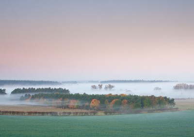 Thetford Forest on a misty Autumn morning