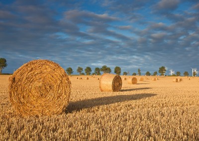 Hay Bales at first light in front of West Somerton windfarm in Norfolk