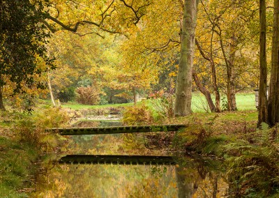 Autumn Colours at Ranworth on the Norfolk Broads