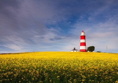 Happisburgh lighthouse in a field of oilseed rape