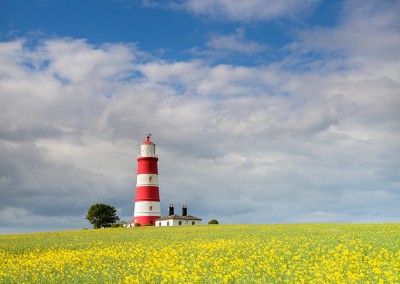 Happisburgh lighthouse in a field of oilseed rape