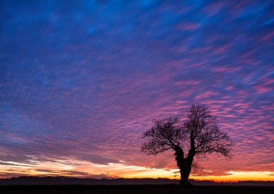 Autumn sunset near Reeps With Bastwick