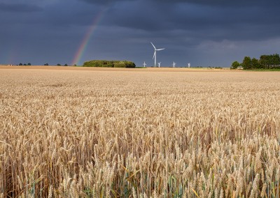 Rainbow over Winterton windfarm