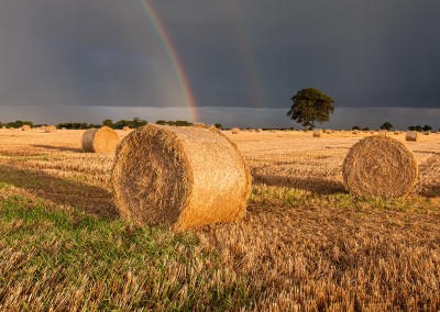 Rainbow over a freshly harvest Barley Field