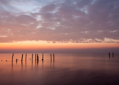 Mussel Beds at Old Hunstanton on the Norfolk Coast