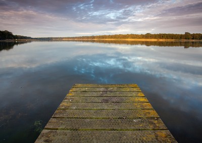 Rolleby Broad at first light on the Norfolk Broads