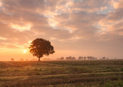 Autumn colours near Clippesby