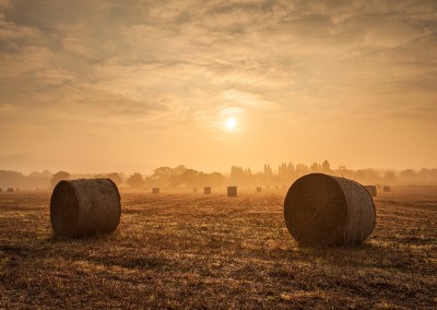Field of straw bales on the outskirts of Martham in Norfolk