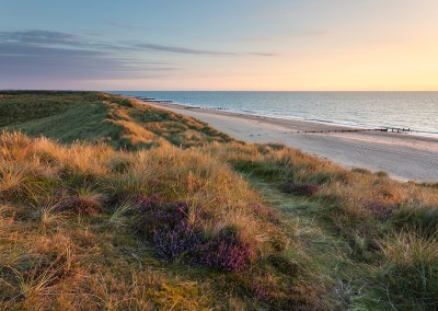 Winterton dunes and heather at dawn on a summer's morning