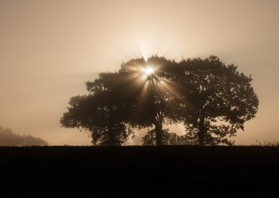 Autumn Sunrise Rollesby