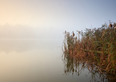 Blickling lake on a misty morning