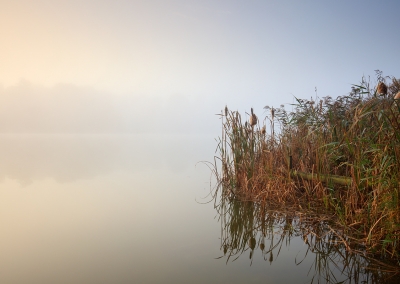 Blickling Lake