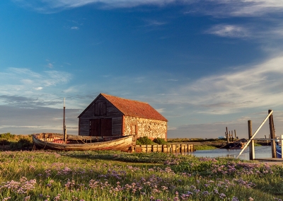 Thornham coal barn and sea lavender on the Norfolk Coast