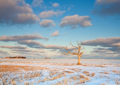 Winter conditions close to Oby in Norfolk