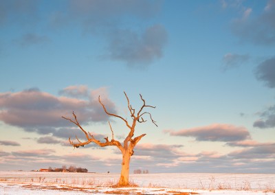 Winter conditions close to Oby in Norfolk