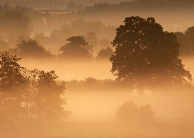 Misty landscape image of the Norfolk Countryside on the outskirts of Norwich