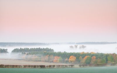 Thetford Forest Photography Guide