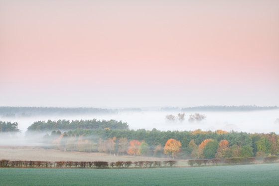 Thetford Forest Photography Guide