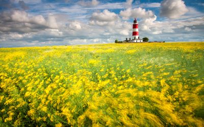 International Garden Photographer Of The Year