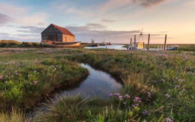 International Garden Photographer Of The Year